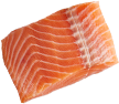 cut of fresh fish